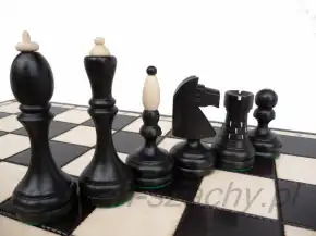 Schwarze und helle Turnierfiguren